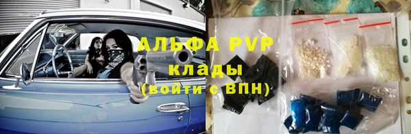spice Богородицк