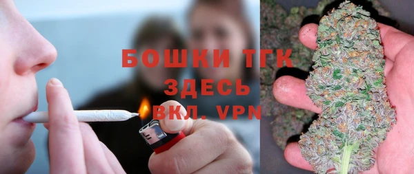 spice Богородицк