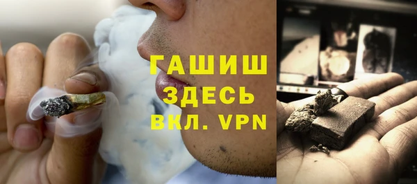 spice Богородицк