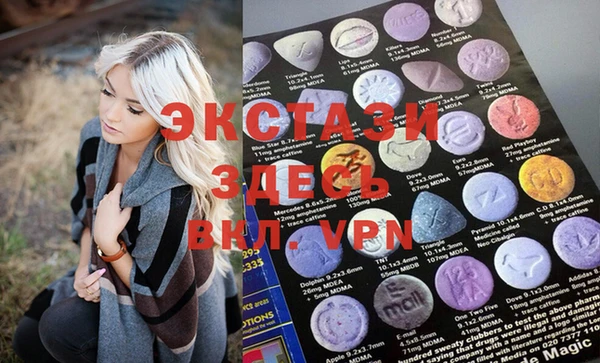 spice Богородицк