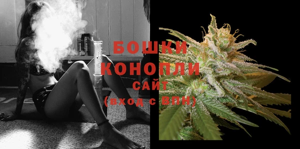 spice Богородицк