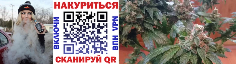 купить наркотики цена  Крымск  Бошки марихуана сатива 
